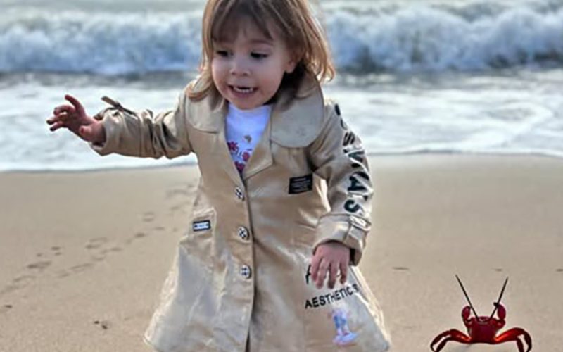 EWM Tetrix 230 AC/DC (Kopie)